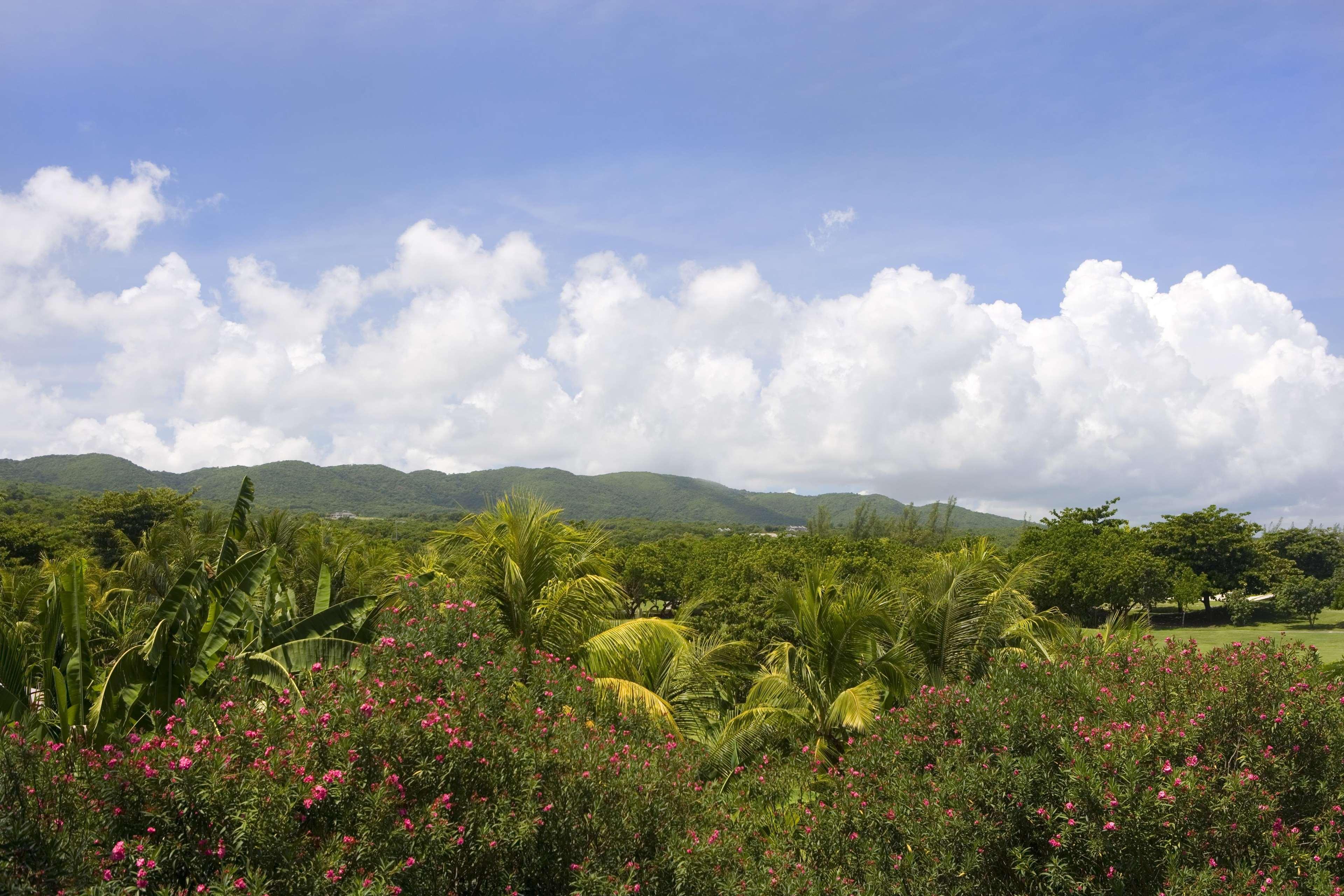 Hilton Rose Hall Resort & Spa Montego Bay Exterior foto